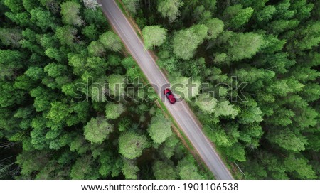 Aerial view of green forest and red car on the road. Bird's eye. Travel concept. Foto d'archivio © 