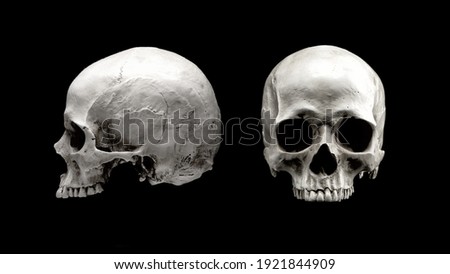 Human skull in different angles. Isolated on black background. Side and front views. Anatomy and medicine concept.
