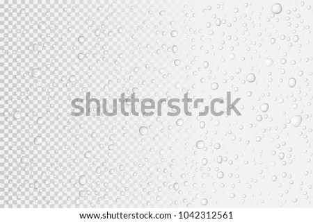 Vector Water drops on glass. Rain drops on transparent background.