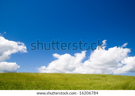 field of fresh summer grass and clouds