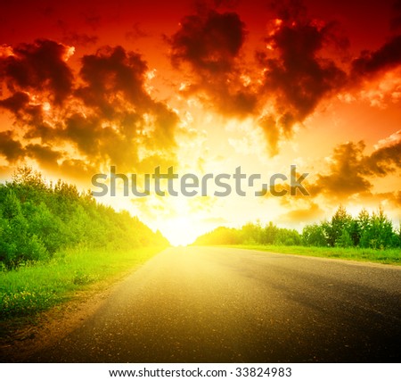 road and sunny summer day