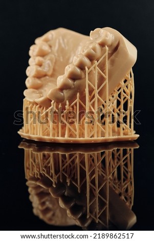 Similar – Image, Stock Photo Dental cast in modern laboratory