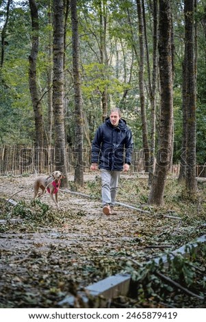 Similar – Image, Stock Photo Man and Weimaraner hunting dog at the sea in Norway