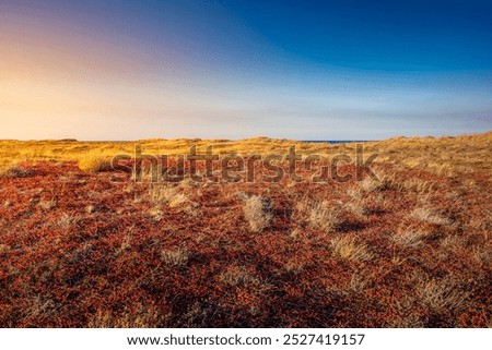 Similar – Image, Stock Photo reddish grasses Grass