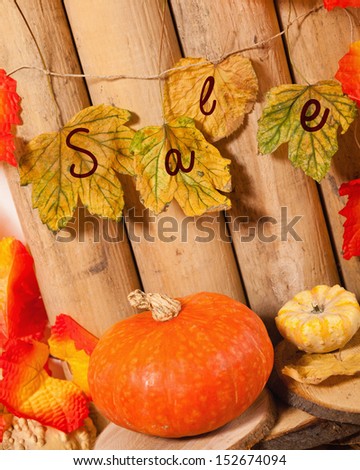 Autumn decoration with pumpkin and fall leaf with sign sale on them.
