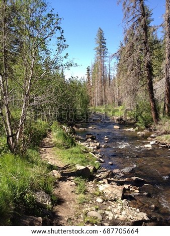 Little Colorado River, Greer AZ | EZ Canvas