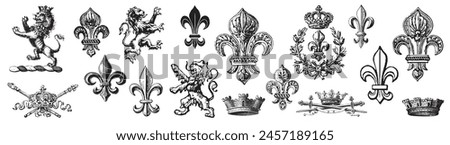 Heraldic Lion. Medieval coat of arms. Lys De Fleur. Crest depicting a lion's flank supporters shield. Knights helmet design. Vintage retro style. Engraving Royalty Emblem. Heraldy King Icon	