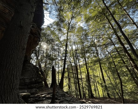 Similar – Image, Stock Photo Rock formation near path in nature