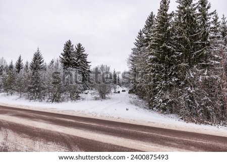 Foto Bild Verschneite Nadelbäume im Wald