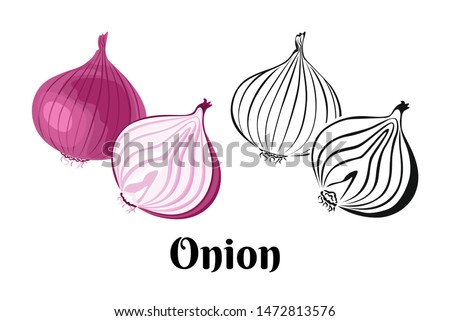 Vector onion vegetable. Whole red onion and slice isolated on a white background. Color illustration and black and white outline. Food image in cartoon simple flat style.