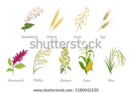 Shutterstock Puzzlepix