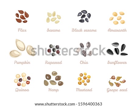 Seed Clipart | Free download on ClipArtMag