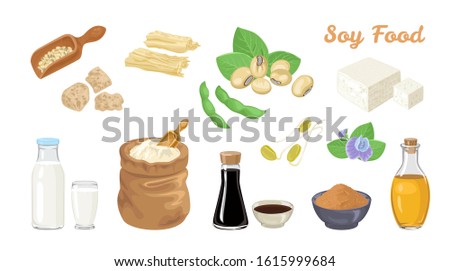 Soy food set. Soybeans and pods, tofu, scoop with beans, soy meat, milk in  bottle and glass, sauce, miso paste, oil, bag of flour, tofu skin, soy sprouts and flower. Vector cartoon flat illustration.