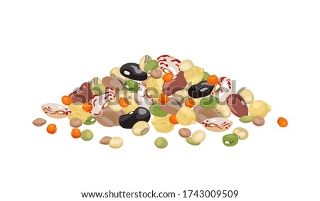 Heap of different beans and legumes isolated on white background.
Pile of bean, green pea, chickpea, mung bean, soybean and lentil. Vector illustration of organic healthy food in cartoon flat style.
