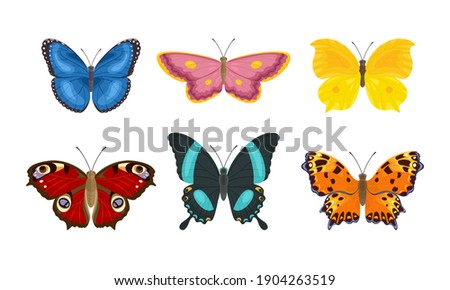 Set of butterflies of different colors and shapes isolated on  white background. Beautiful flying insects. Vector illustration in cartoon flat style.