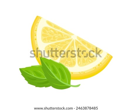 Lemon slice and mint leaves Vector cartoon illustration of yellow citrus. Food icon.