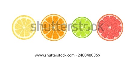 Lemon, lime, orange and grapefruit slice. Citrus fruits set. Vector cartoon illustration.