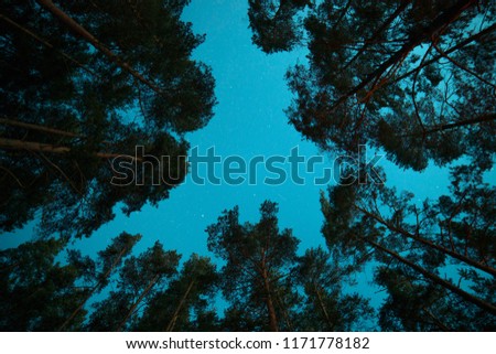 Similar – Image, Stock Photo #As# looking up Starry sky