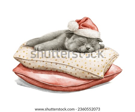 Similar – Image, Stock Photo winter sleep cap Animal