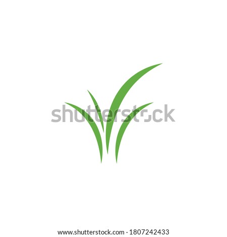 Grass ilustration vector design template