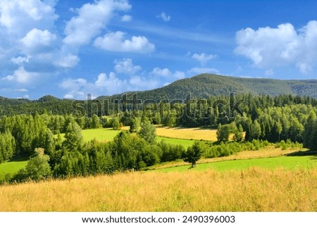 Similar – Foto Bild auf der Alm Umwelt Natur