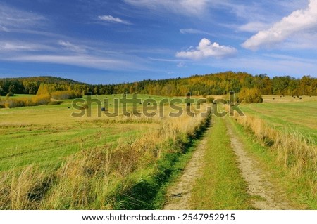 Similar – Image, Stock Photo Dry grasses in the backlight of the evening sun