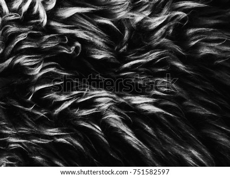 Black White