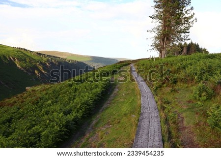 Similar – Image, Stock Photo forest path Nordic Ireland