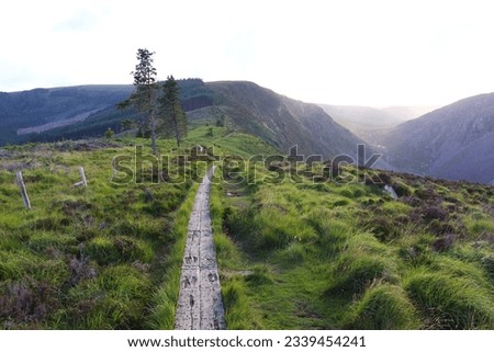 Similar – Image, Stock Photo forest path Nordic Ireland