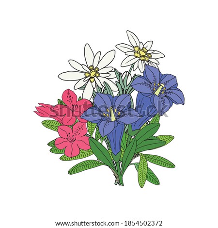 Floral bouquet with edelweiss, gentian and rhododendron. Montain wildflowers. Hand drawn sketch. Vector drawing isolated on white background.