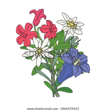 Floral bouquet with edelweiss, gentian and rhododendron. Montain wildflowers. Hand drawn sketch. Vector drawing isolated on white background.