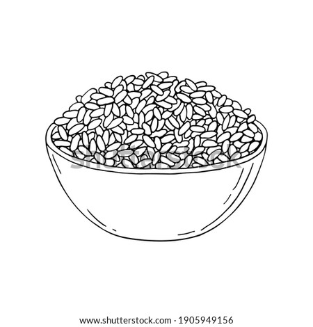 Rice. Cereal grain in plate, bowl. Hand drawn vector sketch illustration.  