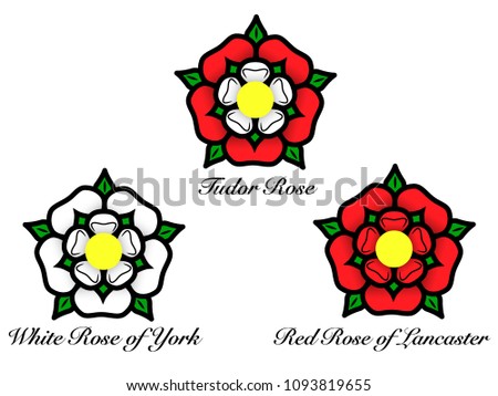 Vector illustration of a set of English Tudor rose - white rose of York, Red Rose of Lancaster. The traditional floral heraldic emblem of England.