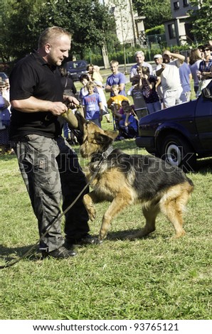 RADZIONKOW, POLAND - SEPTEMBER 17:2nd military picnic in Radzionkow, police dog shows skills, September 17, 2011 in Radzionkow, Poland.