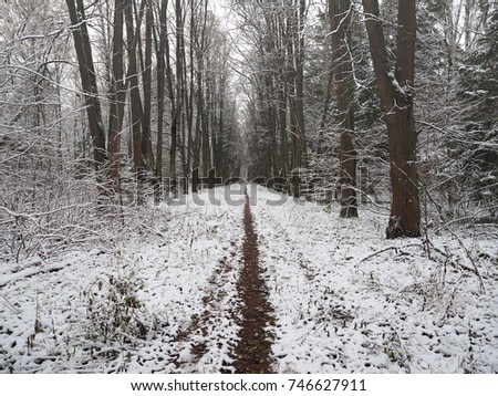 Similar – Foto Bild Vorbestimmter Weg