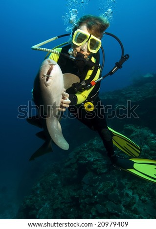 A woman diver is hypnotizing a nurse shark by stroking its belly.