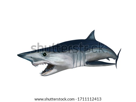Mako shark painted on White background, Digital painting, Watercolor style.