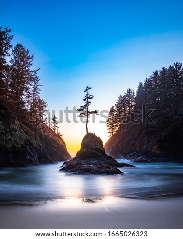 Shutterstock Puzzlepix