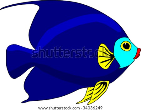 French Angel Fish Stock Vector Illustration 34036249 : Shutterstock