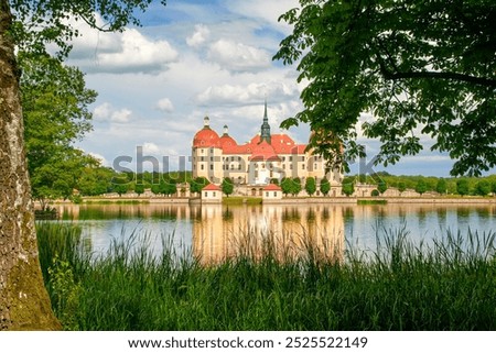 Image, Stock Photo Between trees Dresden