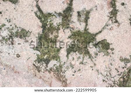 Background of stone wall texture,Cement background,old cement
