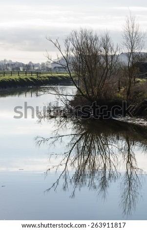 Winter trees mirrored in refections of a tranquil River Parrett on the Somerset Levels