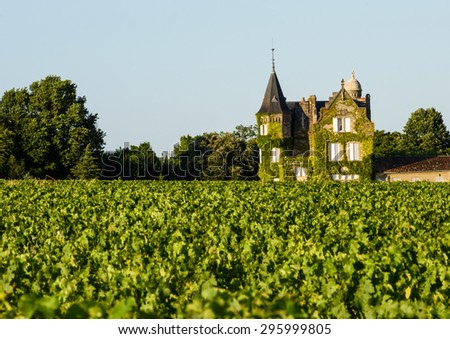 Vine-clad chateaux overlooking vineyard in Bordeaux, France