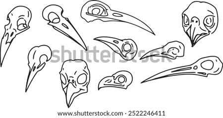 Set Line Halloween Clip art llustration animal skull Ink linear drawing western style coloring. Modern minimalist print design element dead creature contour deceased bird skull outline occult symbol