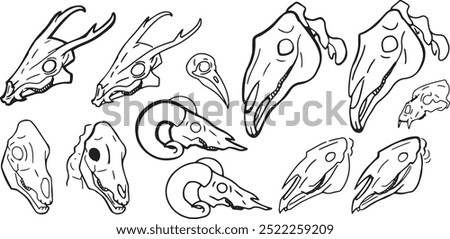 Image, Stock Photo Ram skull with bird nest