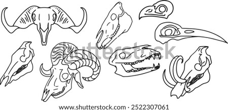 Similar – Image, Stock Photo Ram skull with bird nest