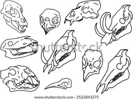 Similar – Image, Stock Photo Ram skull with bird nest