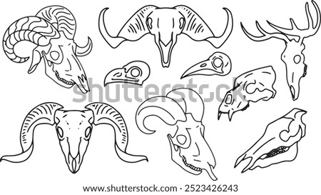 Similar – Image, Stock Photo Ram skull with bird nest