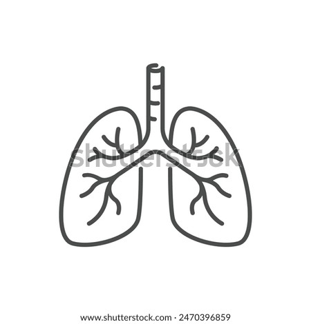 Lungs flat line icon. Vector thin pictogram of human internal organ, outline illustration for pulmonary clinic.