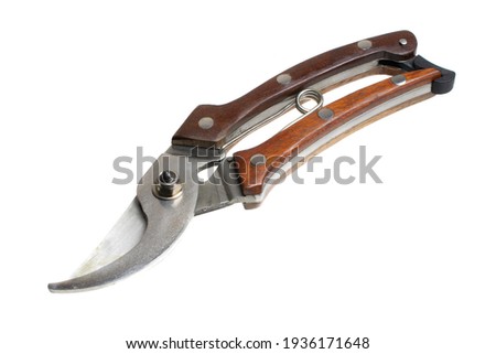 secateurs with brown handle on a white isolated background Photo stock © 